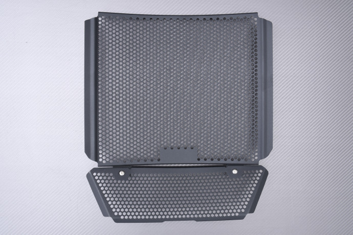 copy of Grille de Radiateur TRIUMPH STREET TRIPLE 660 / 765 R / RS / S 2020 - 2022 copy of Grille de Radiateur TRIUMPH STREET TRIPLE 660 / 765 R / RS / S 2020 - 2022