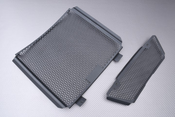 copy of Grille de Radiateur TRIUMPH STREET TRIPLE 660 / 765 R / RS / S 2020 - 2022 copy of Grille de Radiateur TRIUMPH STREET TRIPLE 660 / 765 R / RS / S 2020 - 2022