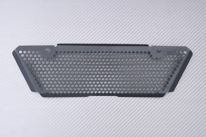 copy of Grille de Radiateur TRIUMPH STREET TRIPLE 660 / 765 R / RS / S 2020 - 2022 copy of Grille de Radiateur TRIUMPH STREET TRIPLE 660 / 765 R / RS / S 2020 - 2022