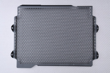 copy of Grille de Radiateur TRIUMPH STREET TRIPLE 660 / 765 R / RS / S 2020 - 2022
