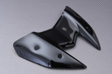 Cupolino / Parabrezza in Policarbonato KAWASAKI Z800 / E 2013 - 2016