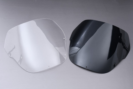 copy of Bulle en Polycarbonate BMW G310 GS 2017 - 2024