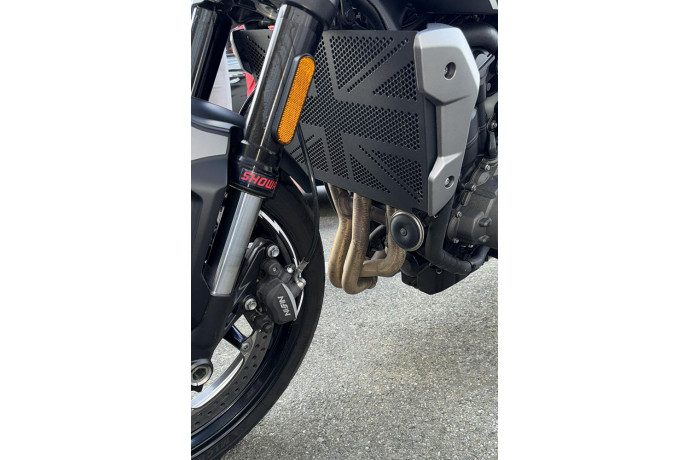 Radiator protection grill TRIUMPH TRIDENT 660 2021 - 2024 Radiator protection grill TRIUMPH TRIDENT 660 2021 - 2024