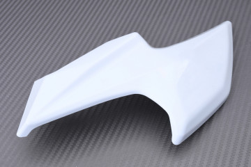 Front Nose Fairing KAWASAKI Z900 / SE 2020 - 2024 Front Nose Fairing KAWASAKI Z900 / SE 2020 - 2024