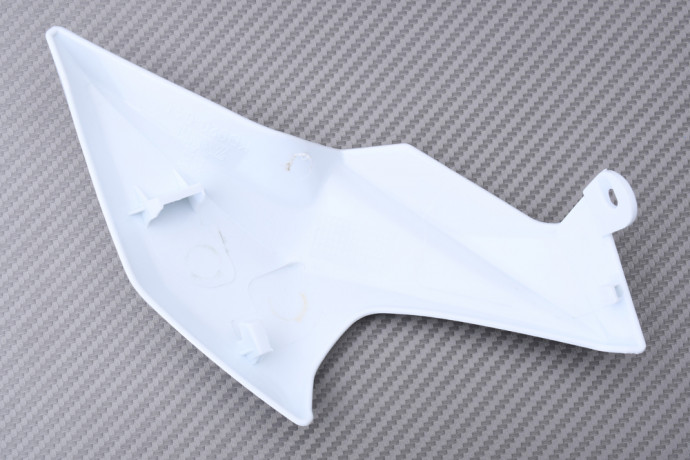 Front Nose Fairing KAWASAKI Z900 / SE 2020 - 2024 Front Nose Fairing KAWASAKI Z900 / SE 2020 - 2024
