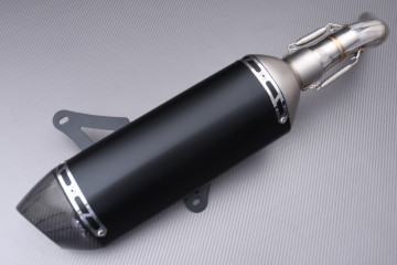 Silenziatore / Terminale VESPA GTS / GTV 125 / 250 / 300 2005 - 2019