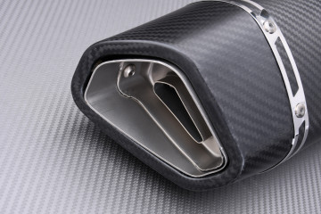 Silenziatore / Terminale TITANIO APRILIA RSV4 / TUONO V4 1100 2021 - 2024 Silenziatore / Terminale TITANIO APRILIA RSV4 / TUONO V4 1100 2021 - 2024