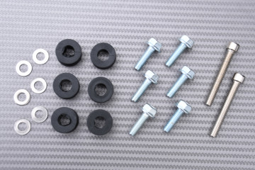 Puntale protezione motore KTM DUKE 390 / 250 2013 - 2016