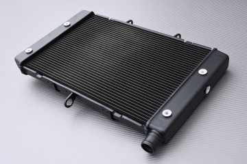Radiador HONDA CB1000R / CBF 1000F 2008 - 2017 Radiador HONDA CB1000R / CBF 1000F 2008 - 2017