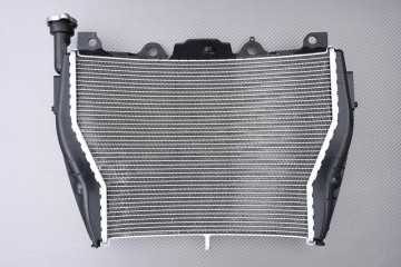 Radiador BMW S1000XR / S1000R 2014 - 2020