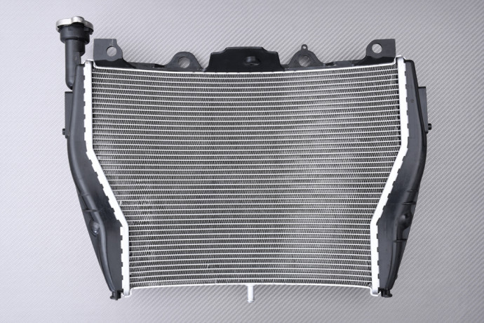 Radiator BMW S1000XR / S1000R 2014 - 2020 Radiator BMW S1000XR / S1000R 2014 - 2020