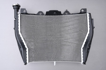Radiateur BMW S1000XR / S1000R 2014 - 2020