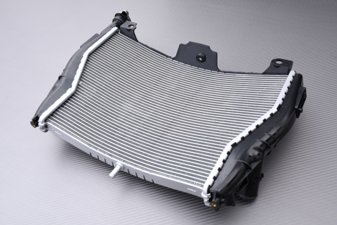Radiator BMW S1000XR / S1000R 2014 - 2020 Radiator BMW S1000XR / S1000R 2014 - 2020