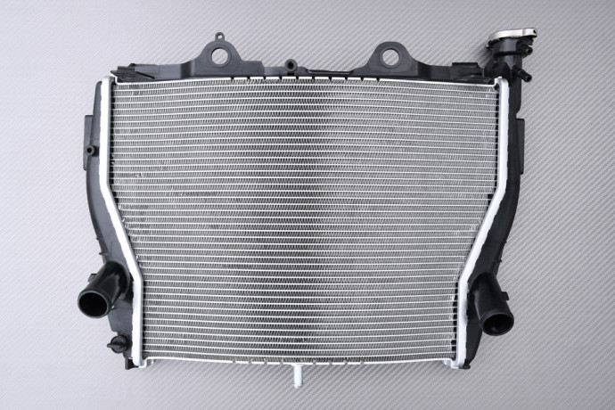 Radiator BMW S1000XR / S1000R 2014 - 2020 Radiator BMW S1000XR / S1000R 2014 - 2020