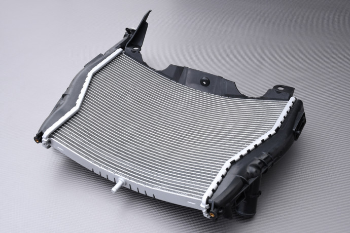 Radiatore BMW S1000RR / HP4 2009 - 2014 Radiatore BMW S1000RR / HP4 2009 - 2014