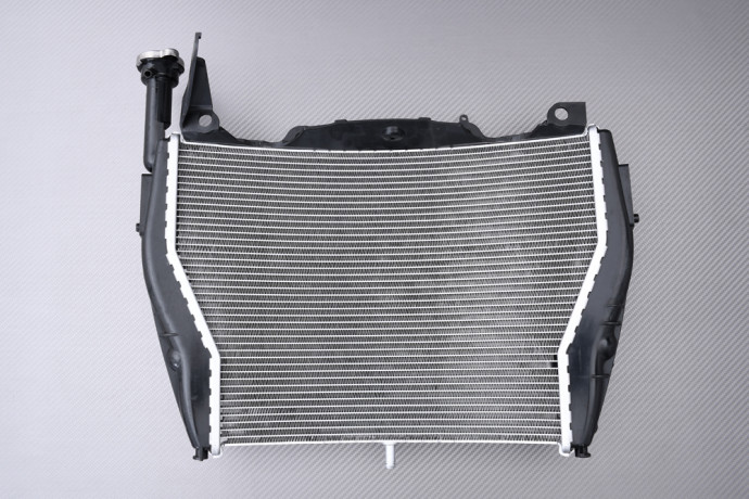 Radiateur BMW S1000RR 2015 - 2018 Radiateur BMW S1000RR 2015 - 2018