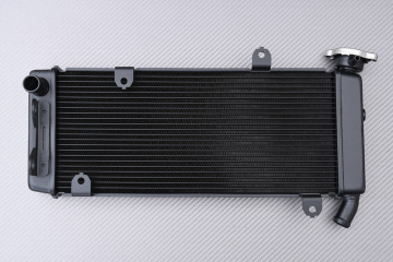 Radiador KAWASAKI VERSYS 650 2015 - 2024 Radiador KAWASAKI VERSYS 650 2015 - 2024