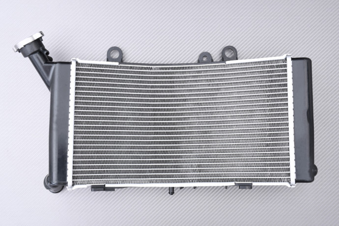 Radiateur BMW F750GS / F850GS / ADVENTURE 2018 - 2023 Radiateur BMW F750GS / F850GS / ADVENTURE 2018 - 2023