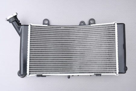 Radiateur BMW F900GS / ADVENTURE 2024 - X