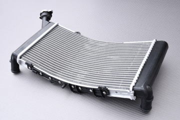 Kühler BMW F900GS / ADVENTURE 2024 - X Kühler BMW F900GS / ADVENTURE 2024 - X