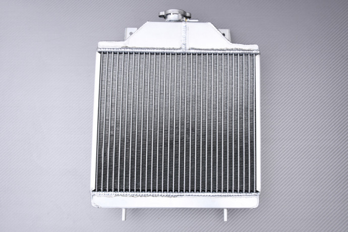 Radiatore acqua racing rinforzato AVDB POLARIS SCRAMBLER / WORKER / XPLORER 400 / 500 1996 - 2000 Radiatore acqua racing rinforzato AVDB POLARIS SCRAMBLER / WORKER / XPLORER 400 / 500 1996 - 2000
