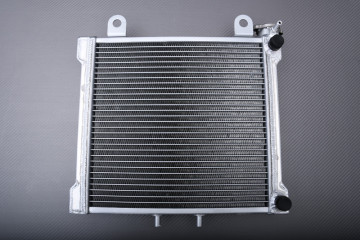 Radiador Agua Racing Reforzado BOMBARDIER / CAN-AM DS 650 / X / BAJA 2000 - 2007 Radiador Agua Racing Reforzado BOMBARDIER / CAN-AM DS 650 / X / BAJA 2000 - 2007