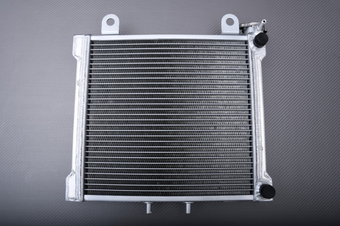 Radiador Agua Racing Reforzado BOMBARDIER / CAN-AM DS 650 / X / BAJA 2000 - 2007 Radiador Agua Racing Reforzado BOMBARDIER / CAN-AM DS 650 / X / BAJA 2000 - 2007