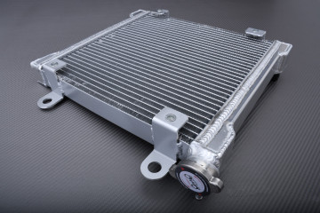 Radiador Agua Racing Reforzado BOMBARDIER / CAN-AM DS 650 / X / BAJA 2000 - 2007 Radiador Agua Racing Reforzado BOMBARDIER / CAN-AM DS 650 / X / BAJA 2000 - 2007