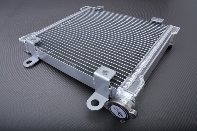 Radiador Agua Racing Reforzado BOMBARDIER / CAN-AM DS 650 / X / BAJA 2000 - 2007 Radiador Agua Racing Reforzado BOMBARDIER / CAN-AM DS 650 / X / BAJA 2000 - 2007