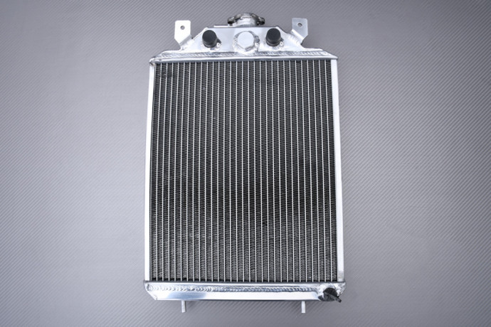 Radiateur Eau Racing Renforcé AVDB POLARIS RANGER 500 1999 - 2002 Radiateur Eau Racing Renforcé AVDB POLARIS RANGER 500 1999 - 2002