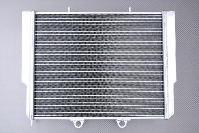 AVDB Reinforced Racing Water Radiator POLARIS RZR / ACE 325 / 570 / 800 2008 - 2022 AVDB Reinforced Racing Water Radiator POLARIS RZR / ACE 325 / 570 / 800 2008 - 2022