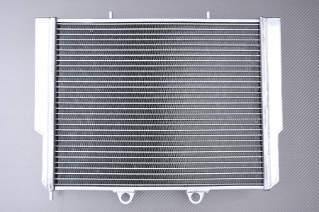 Radiador Agua Racing Reforzado AVDB POLARIS RZR / ACE 325 / 570 / 800 2008 - 2022