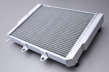 AVDB Reinforced Racing Water Radiator POLARIS RZR / ACE 325 / 570 / 800 2008 - 2022 AVDB Reinforced Racing Water Radiator POLARIS RZR / ACE 325 / 570 / 800 2008 - 2022