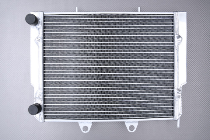 AVDB Reinforced Racing Water Radiator POLARIS RZR / ACE 325 / 570 / 800 2008 - 2022 AVDB Reinforced Racing Water Radiator POLARIS RZR / ACE 325 / 570 / 800 2008 - 2022