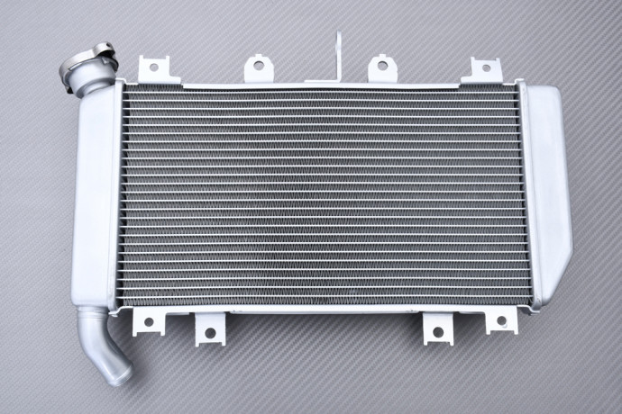 Radiador KAWASAKI Z500 / ELIMINATOR / NINJA 500 2024 - X