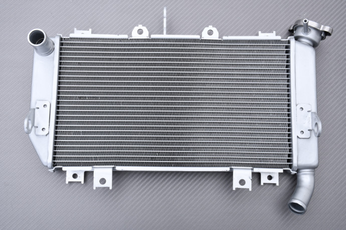 Radiateur KAWASAKI Z500 / ELIMINATOR / NINJA 500 2024 - X Radiateur KAWASAKI Z500 / ELIMINATOR / NINJA 500 2024 - X