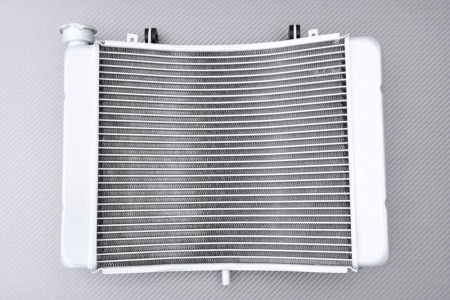 Radiador HONDA NSR 250 R 1990 - 1996
