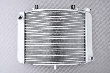 Radiador HONDA NSR 250 R 1990 - 1996