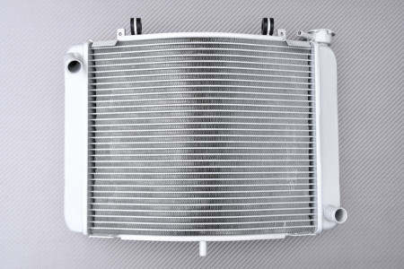 Radiador HONDA NSR 250 R 1990 - 1996
