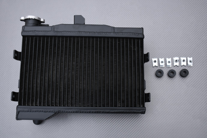 Racing model