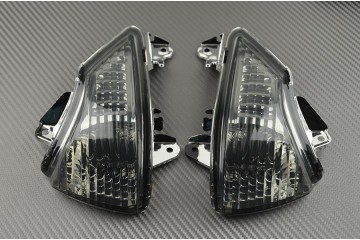 Coppia frecce anteriori Kawasaki ER6 2009 / 2011