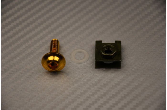 Tornillo + clip con tuerca