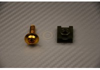 Tornillo + clip con tuerca