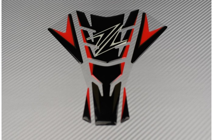 Modello 2