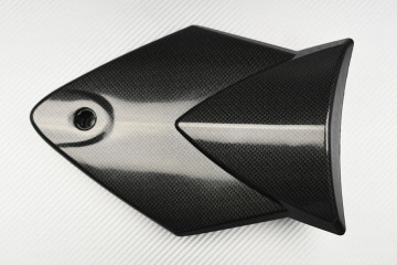 Unghia monoposto BMW S1000RR / HP4 2009 - 2014