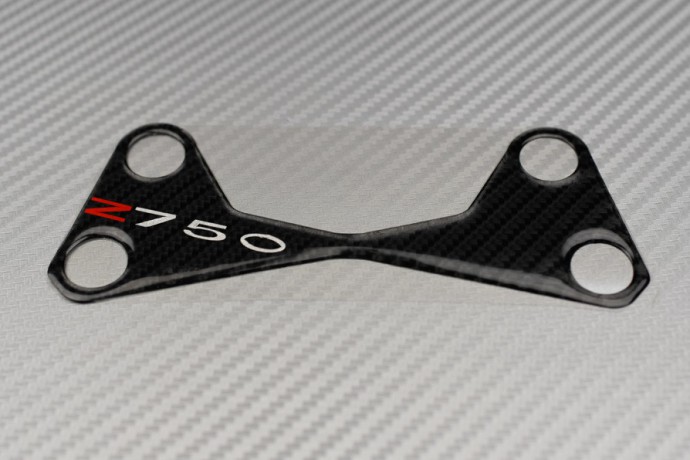 Gabelbrücken Protektor Kawasaki Z750 Z750R 2007 - 2013
