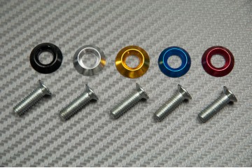 Decorative screw with colored washer