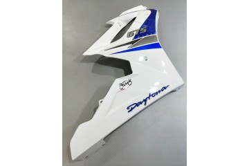 Komplette Motorradverkleidung TRIUMPH DAYTONA 675 2006 - 2008