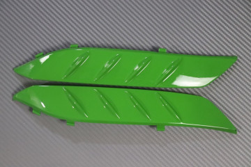 Carenado completo KAWASAKI ZZR 1400 / ZX14R 2012 - 2020 Carenado completo KAWASAKI ZZR 1400 / ZX14R 2012 - 2020