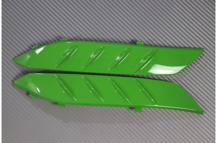 Carénage complet KAWASAKI ZZR 1400 2012 - 2020 Carénage complet KAWASAKI ZZR 1400 2012 - 2020